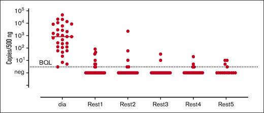 Molecular responses evaluated in the BM and PB during the subsequent time points.