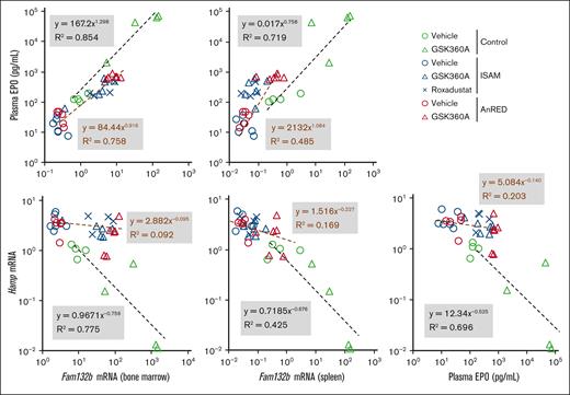 HIF-PHIs suppress hepcidin expression in a manner dependent on the induction levels of EPO and erythroferrone expression. Scatter plots of the relationships between EPO concentrations in plasma (Figure 1A), Fam132b (erythroferrone) mRNA levels in the bone marrow, Fam132b mRNA levels in the spleen, and Hamp (hepcidin) mRNA levels in the liver (Figure 2). The correlations between the parameters in each graph were analyzed with the Pearson correlation coefficient in the control (green) and mutant (ISAM, blue; AnRED, red) mouse lines, which were treated with vehicle (circles), GSK360A (triangles), or roxadustat (crosses).