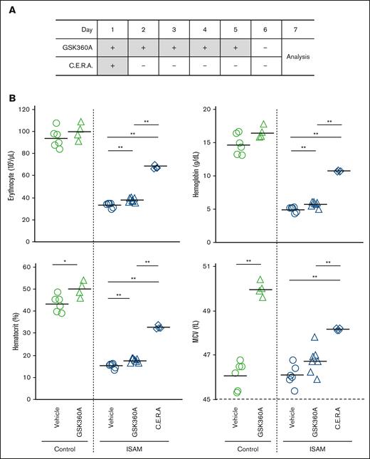 The erythropoietic effects of GSK360A are attenuated in ISAM mice. (A) A scheme of daily injection of GSK360A for 5 days. ISAM mice treated with C.E.R.A. were analyzed as positive controls, in which erythropoiesis was induced. (B) The number of erythrocytes, hemoglobin, hematocrit, and MCV were analyzed 2 days after the final injection of GSK360A. ∗P < .05 or ∗∗P < .01 calculated by Student t test (control) or Tukey-Kramer test (ISAM).