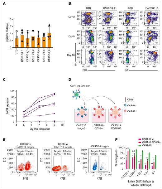 CART-38 expansion and protection from self-lysis.