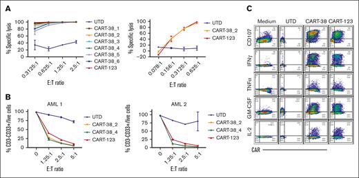 CART-38 effector functions in vitro.