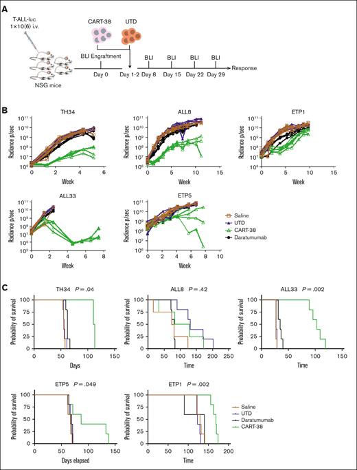 In vivo activity of CART-38 in T-ALL.