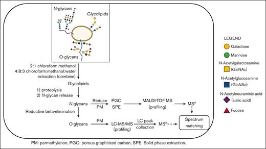 Outline of the workflow used to characterize human platelet glycoprotein glycome.22