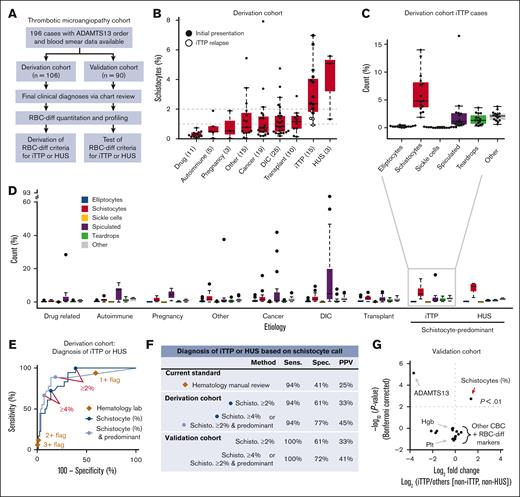 RBC-diff schistocyte counts improve diagnostic evaluation of TMAs. (A) TMA cohort inclusion criteria and study design. (B) RBC-diff schistocyte counts according to TMA etiology. (C,D) RBC-diff counts for iTTP (C), and all other TMA etiologies (D). The interrupted y-axis shows a single outlier (93% spiculated, DIC case). For box plots (B,C,D), center lines show the medians; box limits indicate the 25th to 75th percentiles; whiskers extend 1.5× the interquartile range; and dots represent outliers. (E) The sensitivity and specificity of diagnosis of iTTP and/or HUS against all other TMA etiologies using schistocyte count with (light blue) and without (dark blue) predominance (requirement that schistocyte count be higher than that for other abnormal cell types) and using morphology grading flags (brown diamonds). An equivalent plot of the validation cohort is shown in supplemental Figure 13. (F) Sensitivity, specificity, and positive predictive value (PPV) of the RBC-diff cell count criteria for the diagnosis of iTTP and/or HUS in derivation and validation cohorts (supplemental Figure 7). Sensitivity and PPV using the joint criteria were significantly higher than those using morphology grading flags (P < 1e-5; exact binomial test). (G) Volcano plot indicating the statistical significance and fold changes of CBC indices, RBC-diff counts, and ADAMTS13 activity, each for iTTP compared with non-iTTP/HUS TMA cases. P values using Bonferroni-corrected 2-sided Student t test. DIC, disseminated intravascular coagulation; Hgb, hemoglobin; Plt, platelet count.