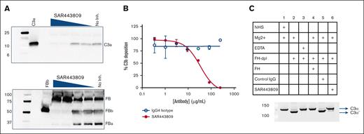 SAR443809 inhibits AP by blocking cleavage of C3 and FB. (A) SAR443809 inhibits the cleavage of C3 and FB in a dose-dependent manner. In a follow-up experiment to the AP Wieslab EIA, the serum supernatant containing varying amounts of SAR443809, was quenched postactivation on the EIA plate and analyzed by SDS-PAGE, and western blotted for C3a (top) and FB (bottom). (B) SAR443809 inhibits the deposition of C3b on rabbit RBCs in a dose-dependent manner. In an assay set up analogous to AP hemolysis assay, rabbit erythrocytes were incubated with 10% C5-depleted sera in the presence of varying amounts of SAR443809 or IgG4 isotype control. The C3b-deposition on the cells was assessed by flow cytometry. Data reported here is the mean of 2 independent experiments ± standard deviation. (C) SAR443809 inhibits C3 cleavage in solution in factor H depleted sera. Five percent NHS, FH-depleted serum or FH-depleted serum supplemented with FH was incubated with SAR443809. Reactions with the IgG isotype control and with 10 mM EDTA were also included as controls. The samples were quenched and analyzed by SDS-PAGE and western blotted to detect cleavage of the C3 α chain. SDS-PAGE, sodium dodecyl sulfate polyacrylamide gel electrophoresis.