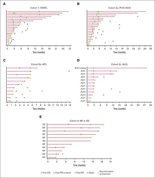 Duration of treatment and TTR. (A) Cohort 1 (ENKTL); (B) cohort 2a (PTCL-NOS); (C) cohort 2b (AITL); (D) cohort 2c (ALCL); and (E) cohort 3 (MF or SS). Each lane represents 1 patient. PD, progressive disease.