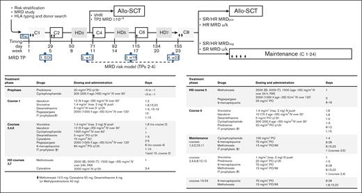 Study strategy and treatment elements. Allo-SCT, allogeneic stem cell transplantation; FAR, folinic acid rescue; HD, high dose; IM, intramuscular; IT, intrathecal; PO, oral; SC, subcutaneous; w, week; u/k, unknown.