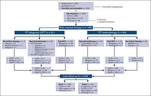 Study flowchart. Patient disposition and outcome are shown overall and per risk-oriented treatment, by ITT, and as treated. Patients displaying refractory ALL after 2 treatment cycles were off study. Application of allogeneic HCT and chemotherapy based on patient age in the respective risk-oriented therapy cohorts is detailed in Supplemental Table 4; overall, patients aged from 18 to 40 years were more likely to complete the assigned chemotherapy steps, whereas HCT rates did not differ significantly across age groups. CCR, continuous first CR.