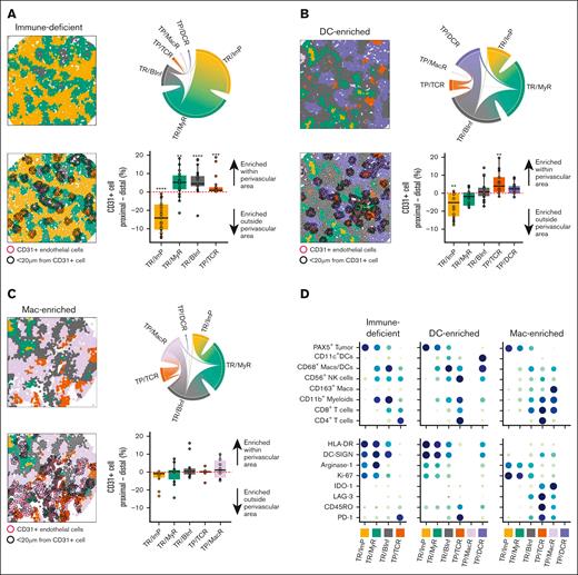 Cases with immune-deficient, DC-enriched, and Mac-enriched aggregate TIMEs have distinct topographical structures and express distinct functional markers. (A) (Top left) Representative CNT map of a DLBCL with an immune-deficient TIME and colored per the CNT assignment of the cells as TR/ImP (yellow), TR/MyR (green), or TR/BInf (gray). (Top right) Chord diagram integrating all contacts between cells assigned to different CNTs for all cases with an immune-deficient TIME. Broader bands reflect greater number of contacts between cells. (Bottom left) Representative CNT map of a DLBCL with an immune-deficient TIME with an overlay of CD31+ endothelial cells (red outlines) and cells within a 20 μm radial distance from CD31+ cells (black outlines). (Bottom right) The differences in the percentages of cells assigned to the indicated CNT within (proximal) or outside (distal) a 20 μm radial distance from a CD31+ cell. Values for individual cases (dots), median values (horizontal line), and 25th and 75th centiles (boxes) are indicated. Positive values represent enrichment within the perivascular region, whereas negative values represent enrichment outside the perivascular area. Only significant P-values are annotated ∗P < .05; ∗∗P < .01; ∗∗∗P < .001; ∗∗∗∗P < .0001 using the paired 2-sided Wilcoxon sign-rank test. (B) (Top left) Representative CNT map from a DLBCL with a DC-enriched TIME and colored per the CNT assignment of the cells as TP/DCR (blue), TP/TCR (orange), TR/BInf (gray), TR/MyR (green), or TR/ImP (yellow). (Top right) Chord diagram integrating all contacts among cells in neighborhoods assigned to different CNTs for all cases with a DC-enriched TIME. Broader bands reflect greater numbers of contacts between cells. (Bottom left) Representative CNT map from a DLBCL with a DC-enriched TIME with an overlay of CD31+ endothelial cells (red outlines) and cells within a 20 μm radial distance from CD31+ cells (black outlines). (Bottom right) The differences in the percentages of cells assigned to the indicated CNT within (proximal) or outside (distal) a 20 μm radial distance from a CD31+ cell. Values for individual cases (dots), median values (horizontal line), and 25th and 75th centiles (boxes) are indicated. Positive values represent enrichment within the perivascular region, while negative values represent enrichment outside the perivascular area. Only significant P-values are annotated. ∗∗P < .01, using the paired 2-sided Wilcoxon sign-rank test. (C) (Top right) Representative CNT map of a DLBCL with a Mac-enriched TIME that is color-coded per the CNT assignment of cells as TP/MacR (lavender), TP/TCR (orange), TR/ImP (yellow), TR/MyR (green), or TR/BInf (gray). (Top right) Chord diagram integrating all contacts between cells assigned to different CNTs for all cases with a Mac-enriched TIME. Broader bands reflect greater number of contacts between cells. (Bottom left) Representative CNT map of a DLBCL with a Mac-enriched TIME with an overlay of CD31+ endothelial cells (red outlines) and cells within a 20 μm radial distance from a CD31+ cell (black outlines). (Bottom left) The differences in the percentages of cells assigned to the indicated CNT within (proximal) or outside (distal) a 20 μm CD31+ cell. Values for individual cases (dots), median values (horizontal line), and 25th and 75th centiles (boxes) are indicated. Positive values represent enrichment within the perivascular region, while negative values represent enrichment outside the perivascular region. No P-values were significant using the paired 2-sided Wilcoxon sign-rank test. (D) The relative cell densities (in cells per mm2) of each indicated cell lineage (top) and the relative expression (in ion counts) of each indicated functional biomarker (bottom) for each indicated CNT (columns) and separated based on the aggregate TIME category (immune-deficient, DC-enriched, and Mac-enriched). Higher cell density (top) and ion counts (bottom) are indicated by larger circle size and darker color.