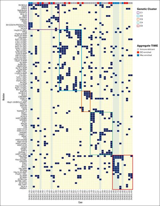 DLBCLs with a Mac-enriched TIME have genetic signatures associated with immune evasion. Single nucleotide variants, structural variants, and copy number alterations in the indicated cases colored based on the aggregate TIME and arranged by genetic cluster designation as determined in the study by Chapuy et al.2 Note that cases with an immune-deficient or a DC-enriched TIME are seen across cluster designations, whereas cases with a Mac-enriched TIME have signatures found in tumors associated with immune evasion (ie, clusters C1 and C5 and cluster C4 associated with a FAS mutation).
