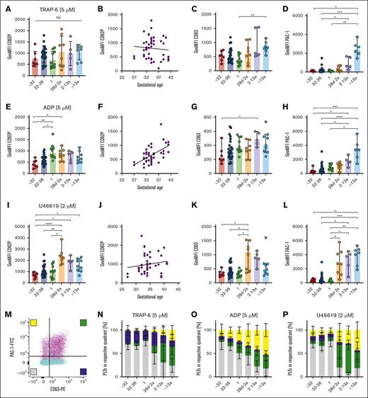 Uncoupling of α- and δ- granule release from GPIIb/IIIa activation in neonates. Characteristics of preterm neonates <32 weeks GA, 32 to 36 weeks GA, >36 weeks GA (t), infants 28d-2a, children 2 to 13a and adults >13a are displayed. Whole blood was preincubated with (A-D) TRAP-6 (5 μM), (E-H) ADP (5 μM), or (I-L) U46619 (2 μM). (A,B,E,F,I,J) CD62P or (C,G,K) CD63 expression or (D,H,L) GPIIb/IIIa activation were assessed flow cytometry. (M-P) Quadrant analysis of CD63 and PAC-1 upon (M,N) TRAP-6, (O) ADP, or (P) U46619 stimulation was performed. Representative curves are shown in panel M. The median ± 95% confidence interval (CI) is displayed in panels A-L. Mean ± 95% CI is shown in panels N-T. Differences were analyzed using the Kruskal-Wallis test. ∗P < .05; ∗∗P < .01; ∗∗∗P < .001; ∗∗∗∗P < .0001. ns, nonsignificant.