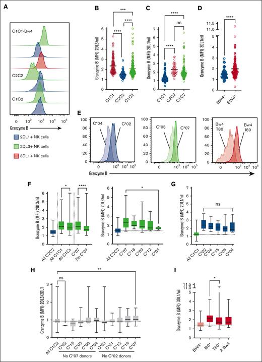 HLA class I alleles affect the granzyme B loading in NK cells. (A) Granzyme B expression in KIR2DL1+ (blue), KIR2DL3+ (green), or KIR3DL1+ (orange) NK cells from donors with different HLA-C backgrounds (one representative experiment shown). (B) Granzyme B expression in KIR2DL3+ NK cells compared with the receptor-negative (Nil) NK cells from the same donor. C1/C1 donors (n = 143), C1/C2 donors (n = 147), and C2/C2 donors (n = 43). (C) Granzyme B expression in KIR2DL1+ NK cells compared with the Nil NK cells from the same C1/C1 donors (n = 140), C1/C2 donors (n = 128), and C2/C2 donors (n = 43). (D) Granzyme B expression in KIR3DL1+ NK cells compared with the Nil NK cells from the same Bw4- donors (n = 78) and Bw4+ donors (n = 170). (E) Granzyme B expression in KIR2DL1+ (blue), KIR2DL3+ (green), or KIR3DL1+ (orange) NK cells from donors with specific HLA alleles, HLA-C∗04 or HLA-C∗02; HLA-C∗03 or HLA-C∗07; Bw4-80T or Bw4-I80, respectively. (F) Granzyme B expression in KIR2DL3+ NK cells compared with the Nil NK cells from the same donor stratified by HLA-C1 alleles. C1/C1 donors (n = 140) and C2/C2 donors (n = 43). (G) Granzyme B expression in KIR2DL1+ NK cells compared with the Nil NK cells from the same donor stratified by HLA-C2 alleles. C1/C1 donors (n = 140) and C2/C2 donors (n = 43). (H) Granzyme B expression in KIR2DL3+ NK cells compared with the KIR2DL1+ NK cells from the same donor stratified by HLA-C1 and C2 alleles. C1/C2 donors (n = 125). (I) Granzyme B expression in KIR3DL1+ NK cells compared with the Nil NK cells from the same donor stratified by Bw4 alleles. Bw4 donors (n = 179). (B-D) Self-KIR NK cells are represented in red, and the nonself KIR NK cells are represented in blue. Each dot represents 1 donor. Whiskers show the fifth to 95th percentile. Bars show the median. One-way ANOVA tests followed by Kruskal-Wallis’ multiple comparison tests were performed in panels B, C and F-I. Mann-Whitney U test was performed in panel D. ∗∗∗∗P < .0001; ∗∗∗P < .001; ∗∗P < .01; and ∗P < .05. ANOVA, analysis of variance; MFI, median fluorescence intensity.