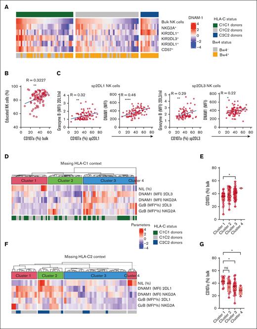 A refined phenotypic metric based on DNAM-1 and granzyme B levels. (A) Heatmap representing the DNAM-1 expression (MFI), using z-score normalization. C1/C1 donors (n = 37), C1/C2 donors (n = 42), and C2/C2 donors (n = 12). (B) Correlation between the percentage of educated NK cells and degranulation rates. (C) Correlation between DNAM-1 expression and granzyme B content in KIR2DL3+ or KIR2DL1+ NK cells with the degranulation rate of the same subset of NK cells. Negative correlation between KIR expression intensity and degranulation rate. (D) Unsupervised K-means clustering of the donors in the missing HLA-C1 context, based on DNAM-1 expression, granzyme B content and the size of the different educated subsets (n = 80). (E) Summary graph of the degranulation response (CD107a) in clusters from 1 to 4. (F) Unsupervised K-means clustering of the donors in the missing HLA-C2 context, based on DNAM-1 expression, granzyme B content, and the size of the different educated subsets (n = 54). (G) Summary graph of the degranulation response (CD107a) in clusters from 1 to 4. Each dot represents 1 donor. R is the Pearson coefficient. One-way ANOVA tests followed by Tukey multiple comparison tests were performed in panels D and E. ∗∗∗∗P < .0001; ∗∗∗P < .001; ∗∗P < .01; and ∗P < .05.
