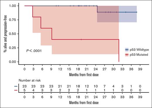 KM estimates of PFS based on the presence or absence of p53 mutation.