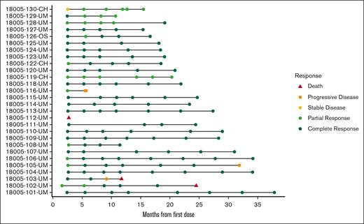 Swimmers’ plot giving the timing and nature of each patient’s response assessment.