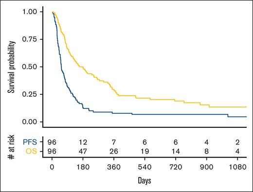 Median PFS and OS in the full cohort.