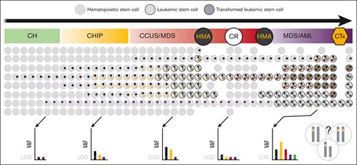 Clonality and NGS-MRD. Schematic depiction of the polyclonal evolution and trackable somatic mutations from CH, through CHIP and CCUS to MDS/AML. Each colored dot within the cell represents a distinct mutation, with 2 different transformed clones (dark circles) developing over time and one outcompeting the other (so called clone sweeping39). NGS of the bulk population can only detect genetic alterations with a frequency above the LOD, which depends on the error-corrected sequencing methodology used. The VAF represents the variant frequency within the bulk population without information on the co-occurrence of variants within a single subclone of that population that is under constant intrinsic competition and extrinsic pressure (treatment). Depending on the bulk composition, the same VAF can represent different mutational states on a single-cell level (demonstrated by chromosomes in the right lower corner of the figure), such as biallelic vs monoallelic mutation, homozygous vs hemizygous or heterozygous mutations. Importantly, such allelic imbalances, eg, biallelic TP53 mutation, are not limited to MDS/AML but can also be found in CH, CHIP, and CCUS. CTx, chemotherapy. The figure was adapted and modified from the study by Stauber et al.40