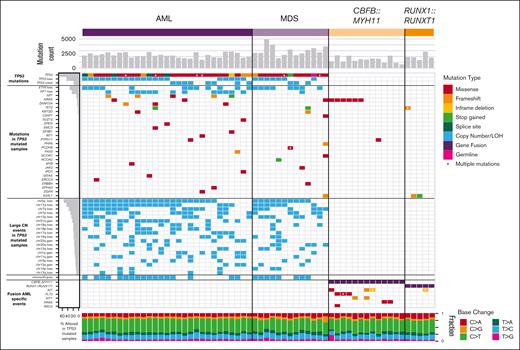 Mutational landscape of TP53-mutated myeloid malignancies.TP53-mutated AML (left) and MDS (middle), compared with AML driven by the CBFB::MYH11 or RUNX1::RUNX1T1 fusion proteins. Top: SNV/indel counts for each sample. Left: frequency of selected genomic alterations in TP53 samples. Middle: colors represent the types of mutations observed in each sample; asterisks indicate multiple SNV/indel hits. Bottom: proportion of each single-nucleotide base change per sample.