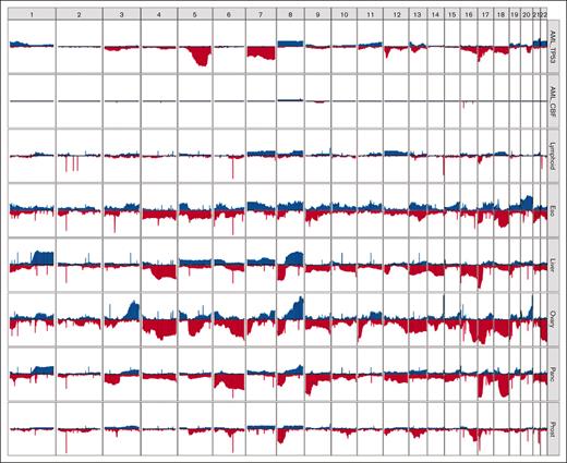 Distinct patterns of copy-number alterations are observed in different TP53-mutated malignancies. The y-axis indicates the proportion of samples with a copy gain (blue, positive direction) or loss (red, negative direction) overlapping each gene, genome wide. Only mostly diploid samples without evidence of whole-genome doubling and with at least 50% of autosomes copy neutral are included. For the PCAWG data, all tumor types with at least 20 mostly diploid, TP53-mutated samples are included. Data sets included (top to bottom): TP53-mutated AML/MDS (n = 41), wild-type TP53 CBF AML (n = 18), and TP53-mutated lymphoid (B-NHL, n = 20; CLL, n = 6), esophageal (n = 24), hepatic (n = 56), ovarian (n = 23), pancreatic (n = 96), and prostate (n = 43) malignancies. B-NHL, B-cell non-Hodgkin lymphoma; CLL, chronic lymphocytic leukemia.