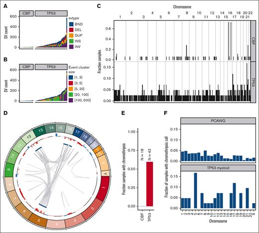 SV and chromothripsis involve very large, complex events in TP53-mutated myeloid malignancies. (A) Somatic SV call counts for each case. Counts colored per SV classification: breakends (BND), deletion (DEL), duplication (DUP), insertion (INS), and inversion (INV). (B) Distribution of somatic SV cluster sizes for each case. Counts colored per the number of individual SV events occurring within the corresponding complex SV cluster. (C) Frequency of somatic SV breakpoints in 100-Kb windows genome wide. Bar height indicates the fraction of samples with at least 1 SV breakpoint within each window. (top) Fraction of CBF AML with somatic SV breakpoints in each window. (bottom) Fraction of TP53-mutant AML with somatic SV in each window. In CBF AML, enrichment of breakpoints is clearly present at inv(16) and t(8;21) positions. Breakpoints are present throughout the genome in TP53-mutated AML/MDS cases, with enrichment on chr17 and chr21. (D) Large regions of chr5, chr12, chr16, and chr17 are involved in complex rearrangements affecting copy number, including the TP53 genomic locus in a case of TP53-mutated AML (UPN 983349). (Outer track) copy gains (blue) and losses (red). (Inner track) regions involved in high-confidence chromothripsis events (dark blue). Gray arcs indicate novel adjacencies created by structural rearrangements. (E) Chromothripsis is detectable in 60% of TP53-mutated myeloid malignancies and is not present in any CBF AML cases. (F) Genome-wide distribution of high-confidence chromothripsis calls. Proportion of all TP53-mutated PCAWG (top; n = 623) and AML/MDS (bottom; n = 42) samples with a chromothripsis call on each chromosome.