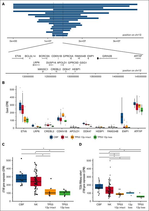ETV6 deletion and decreased expression is common in TP53-mutated myeloid malignancies. (A) Genomic locations of copy-number losses intersecting the minimally deleted region on chr12p (n = 19). Locations of all protein encoding genes intersecting this region are shown. (B) mRNA expression for genes within the minimally deleted region of chr12p, displayed for genes with a minimum mean expression of 10 counts per million mapped reads for at least 1 group. Boxplot indicates median and first and third quartiles; whiskers indicate the range of all data points falling within 1.5 × interquartile range (IQR). CBF AML (n = 11); NK AML (n = 52); TP53-mutated with 12p intact (n = 6); and TP53-mutated with 12p loss (n = 8). (C) mRNA expression of ETV6 in TP53-mutated samples with and without 12p loss, compared with NK and CBF AML cases (n = 8, 6, 52, and 11, respectively). ∗Adjusted P value < .05, edgeR exactTestDoubleTail with adjustment for multiple comparisons. (D) Extension cohort of additional cases from the previously published The Cancer Genome Atlas Program AML data set. mRNA expression of ETV6 in TP53-mutated samples with 12p loss and with 12p intact (n = 4 and 11, respectively), NK (n = 79), CBF (n = 18), and 12p loss (TP53 wild type, n = 4) samples. ∗Adjusted P value < .05, t test with multiple testing correction.