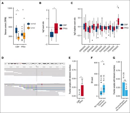 Telomere content is increased in TP53-mutated myeloid malignancies. (A) Telomere content in units of telomeric reads per GC content–matched million reads (TRPM) was quantified in WGS from tumor specimens (orange) and paired germ line control tissues (skin or buccal DNA, blue) for CBF AML and TP53-mutated myeloid malignancies. Significant telomere shortening in the CBF sample subset, with a mean shortening of 226 telomeric reads per GC content–matched million reads (TRPM; P = 8.3 × 10−7; 2-sided, paired t test) but not in the TP53-mutant subset (mean difference of −2.5 TRPM between tumor and normal). (B) Ratio of telomere content for tumor compared with normal tissue. TP53-mutated myeloid malignancies have significantly higher telomere content compared with CBF AML (P = 1.7 × 10−5, 2-sided t test). (C) Relative abundance of telomere variant repeats (TVR) in singleton context. Log2 tumor-to-normal ratio of singleton TVR repeats in TP53-mutant and CBF subtypes. The relative abundance of singleton TTTGGG repeats is significantly higher in TP53-mutated myeloid malignancies compared with CBF AML (P = 1.4 × 10−7, 2-sided t test). (D) Example of intrachromosomal insertion of t-type telomeric hexamer sequences seen in the tumor but not the paired normal sequence data from a TP53-mutated case (UPN 387082). (E) Fractions of patients with TP53-mutated myeloid malignancies (n = 42) and CBF AML (n = 18) with detectable interstitial (nontelomere) telomeric repeat variants (P = .006, Fisher exact test). (F) TP53-mutated cases with detectable interstitial insertions of telomeric variant repeats have higher SV counts (P = .0033, Wilcoxon ranked-sums test). (G) Fraction of TP53-mutated cases with detectable interstitial insertions of telomeric variant repeats in sample with (n = 25) and without (n = 17) chromothripsis (P value, not significant; odds ratio, 3.03; 95% confidence interval, 0.61-20.7; Fisher exact test).