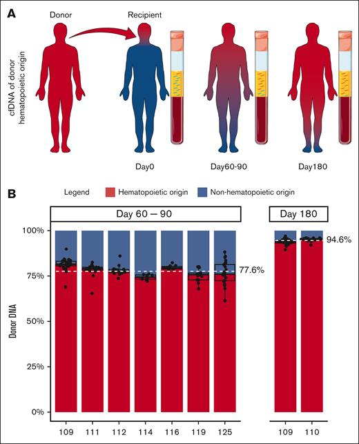 The contribution of hematopoietic and nonhematopoietic tissues to cfDNA. (A) Schematic of the contribution of donor and recipient tissue to cfDNA after alloHCT. Red and blue depict donor and recipient tissues, respectively. In the recipient, the entire hematopoietic tissue is donor derived (red). CfDNA at different time points after alloHCT is shown. cfDNA from hematopoietic tissue is red, and nonhematopoietic tissue is blue. Relative amount of cfDNA from hematopoietic cells (donor-derived) at D60 to D90 and D180 after alloHCT is shown. Servier Medical Art, provided by Servier, was used to generate Figure 1A.