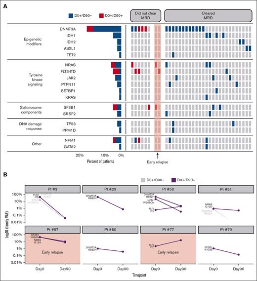 Genomic features and clonal dynamics in MRD-positive patients before alloHCT. (A) Leukemia-specific mutations found before alloHCT are grouped based on the function of the corresponding gene. The columns represent individual patients. They are grouped based on the clearance of MRD by D90. The red highlight marks 2 patients who were MRD positive who relapsed before D90. (B) Clonal dynamics in patients who did not clear MRD by D90. Clones harboring mutations in gray were not detected on D90 (D0+D90–). The graph with red highlights represents patients who relapsed by D90. VAF is presented on a logarithmic scale.