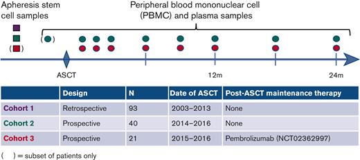 Schema of the 3 cohorts. ASC samples were collected from patients in cohort 1. Pre-ASCT ASC samples and post-ASCT surveillance plasma and PBMC samples were collected from patients in cohort 2. In addition, a subset of cohort 2 patients had 1 pre-ASCT PB sample collected. Patients in cohort 3 had post-ASCT surveillance plasma and PBMC samples collected, and a subset of patients had available pre-ASCT ASC samples. The samples are color-coded by cohort (cohort 1, purple; cohort 2, green; cohort 3, red).