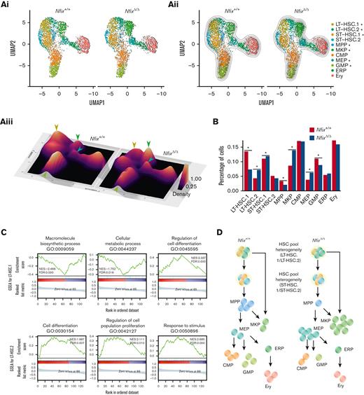 NFIX loss perturbs abundance of multiple hematopoietic progenitor cell clusters. (A)(i) UMAP plot comparing Nfix+/+ and NfixΔ/Δ cell clusters; (ii) Visualization of 2D KDE, with the resulting contour lines superimposed on UMAP plot shown in (i). ∗P value <.05; and (iii) Three-dimensional visualization of the KDE, with the resulting density map superimposed on top of the UMAP plot shown in panels i-ii. Arrowheads indicate significant differences between LT-HSC, MKP, GMP, and MEP clusters. Arrowhead colors correspond to clusters indicated in panels i-ii. (B) Bar plot of the percentage of cells assigned to each cell type. ∗P value <.05. (C) Representative GSEA results for LT-HSC.1 (top) and LT-HSC.2 (bottom). (D) Schematic of shifts in abundance of HSPC subsets following the loss of Nfix. GSEA, gene set enrichment analysis.