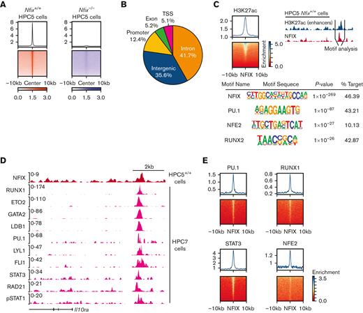 NFIX colocalizes with multiple hematopoietic transcription factors. (A) Signal plot showing enrichment of NFIX peaks in Nfix+/+ HPC5 cells as compared with NFIX signals in Nfix−/− HPC5 cells. (B) Genomic annotation pie chart showing the distribution of NFIX peaks. (C) Top left, signal plot showing enrichment of H3K27ac peaks centered around NFIX peaks in Nfix+/+ HPC5 cells. Top right, schematic detailing focus on enhancer regions, where NFIX (red track) and H3K27ac (blue track) signals overlap. Below, HOMER motif discovery analysis identifies the primary motif as NFIX, as well as multiple secondary motifs. (D) Representative tracks showing the overlap of NFIX (red track) in Nfix+/+ HPC5 cells and additional hematopoietic factors (pink tracks) in HPC7 cells at the Il10ra gene locus. (E) Signal plots showing the enrichment of hematopoietic factors, PU.1, STAT3, RUNX1, and NFE2 (data from HPC7 cells), centered around NFIX peaks (data from HPC5 cells).