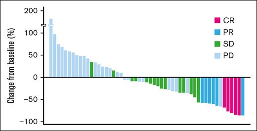 Maximum change from baseline tumor size (waterfall plot). A waterfall plot showing the maximum target lesion shrinkage demonstrated that the tumor size decreased in 62.3% (33/53) of patients.