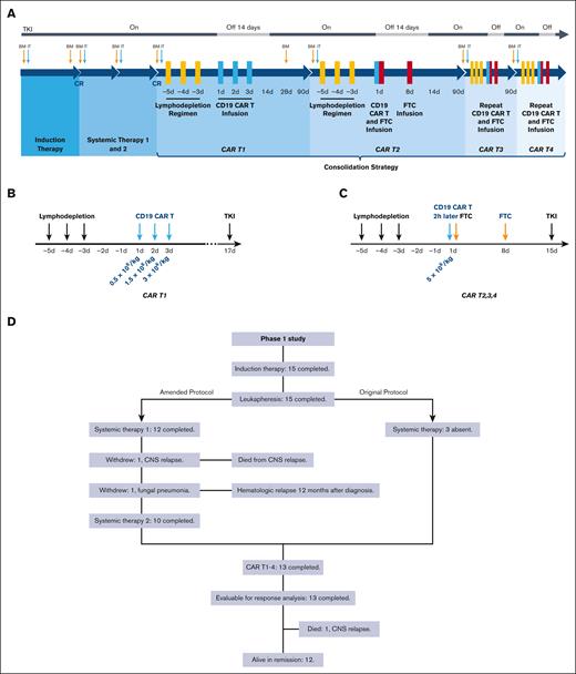 Study oversight and consort diagram. (A) Treatment schema of the entire clinical trial. (B-C) Schema of CAR T1 to CAR T4. Before each cycle of CD19 CAR T cells, the FC regimen (fludarabine 30 mg/m2 daily and cyclophosphamide 300 mg/m2 daily) for lymphodepletion was given on days −5, −4, and −3. CD19 CAR T cells were infused at a total dose of 5 × 106 cells per kg on day 1 to day 3 of CAR T1 and day 1 of CAR T2 to T4, whereas CD19+ FTCs were infused 2 hours after the infusion of CD19 CAR T cells on day 1 and at the same dose alone on day 8 of CAR T2 to T4. Based on the preclinical data, the stimulation of CD19 CAR T cells via CD19+ FTCs at a ratio of 1:1 was seen to be the optimum ratio. Therefore, 5 × 106/kg of CD19+ FTCs was set as the starting dosage in our study. Moreover, considering the limited number of T cells harvested from a single apheresis from the patientsand the cost-effectiveness, we evaluated the minimum effective doses, ie, CD19+ FTCs (3.25 × 106/kg and 2 × 106/kg), to be used in our study. Therefore, CD19+ FTCs were administered at 3 different doses (5 × 106/kg, 3.25 × 106/kg, or 2 × 106/kg) to assess an optimal biologic CD19+ FTC dose. (D) Consort diagram describing the patient population. A total of 15 patients had enrolled in our phase I clinical trial. On 3 November 2019, we modified our original protocol owing to the observation of CNS leukemia in 1 patient (patient 4). Two cycles of systemic therapy after induction therapy and a total of 11 triple intrathecal injections (methotrexate, cytarabine, and dexamethasone) were included for the prevention of CNS leukemia. Three patients were already initiated on CAR T-cell therapy before the amendment, and therefore they were absent from the systemic chemotherapy. One patient (patient 7) withdrew because of fungal pneumonia that occurred after 1 cycle of systemic chemotherapy when he had a hematological CR. Patient 15 withdrew because of an isolated CNS relapse after 1 cycle of systemic chemotherapy. She achieved CR2 after multiple intrathecal therapies and underwent HSCT. Unfortunately, she died of a second relapse in the CNS.