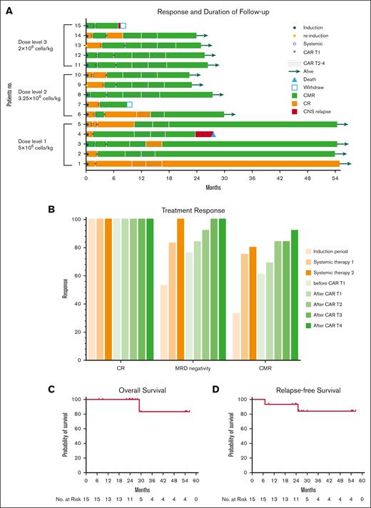 Clinical outcome of treatment. (A) Swimmer plot showing the clinical response and follow-up of the individual patients, as denoted with different colors in the swimmer lanes. Each bar represents 1 patient. The indicated responses include a CR and a CMR. Before the systemic chemotherapies, imatinib was replaced with dasatinib for 2 patients. Patient 9, with no ABL mutations, had a poor response after 1 cycle of induction with imatinib but demonstrated a molecular response after reinduction with dasatinib. Patient 13 was intolerant of imatinib owing to severe rash and edema. (B) Treatment response at the end of induction therapy, each systemic therapy, and each cycle of CAR T-cell infusion. (C-D) Kaplan-Meier estimates of OS and RFS for the 15 patients who were included in the primary efficacy analysis.