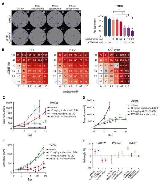 Effect of AZD5153 and acalabrutinib combination treatment on ABC-DLBCL. (A) TMD8 colony formation assay with methylcellulose after 14-day dosing. (Left) Representative well images for each dose with artificially labeled colonies (blue). (Right) Quantification of colonies via Alamar blue staining. Error bars the standard error of the mean (SEM) of 4 wells per cell line. (B) Cell viability scoring (0-200) across multiple doses of both drugs for 5 days in ABC-DLBCL cell lines. (C) LY0257 ABC-DLBCL PDX and (D) LY2345 GCB-DLBCL PDX models dosed with 1.5 mg/kg AZD5153 and 20 mg/kg acalabrutinib for 21 days. (E) TMD8 cell line xenograft dosed with 0.15 mg/kg AZD5153 and 20 mg/kg acalabrutinib for 26 days. (F) Body weight changes on the last day of observation. Error bars represent the SEM; n = 5 mice per group. ∗ and # denote P < .05 for comparison between the control and acalabrutinib, respectively. DMSO, dimethyl sulfoxide.