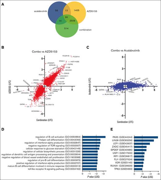 PAX transcriptional network is interrupted by AZD5153 and acalabrutinib in TMD8 tumor models. RNA-sequencing data generated from tumors extracted after 4 hours of drug dosing, n = 3 mice per group. (A) Venn diagram of genes with significant differential expression between treatment and vehicle. (B-C) Log fold-change (LFC) values for combination differential expression (x-axis) compared with (B) 0.72 mg/kg AZD5153 or C 20 mg/kg acalabrutinib (y-axis). All the genes were significant (P < .05) after at least 1 treatment and a 1.5-fold–change threshold was applied. (D-E) Pathway analysis of 514 differentially expressed genes exclusive of the combination treatment. (D) GO Biological and (E) Perturbed Transcription Factors databases. Statistical P values < 0.05 were considered significant.
