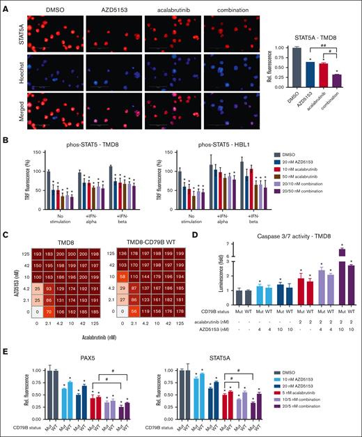 Inhibition of BCR prevents STAT5 activation in ABC-DLBCL. (A) Representative images of STAT5A immunofluorescence (left) and quantification for nuclei detection (right) after treatment with 20 nM AZD5153, 10 nM acalabrutinib, or a combination. n = 3. (B) TR-FRET detection of phos-STAT5 with stimulation by 0.1 ng/mL IFNα or 1 ng/mL IFNβ. n = 6 (C) Cell viability scoring (0-200) and (D) Cas3/7 activity across multiple doses of both drugs in TMD8 and TMD8-CD79B WT cell lines. n = 6. € PAX5 and STAT5A immunofluorescence quantification for nuclei detection comparing TMD8 (Mut) and TMD8-CD79B WT cell lines. Error bars represent SEM. ∗, #, and ## denote P < .05 for comparison of the control, acalabrutinib, and AZD5153, respectively.