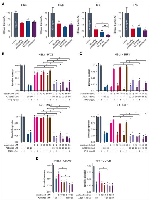 Tumor interferon and PAX5 transcriptional network validation. (A) Cytokines IFNα2, IFNβ1, IL-6 (IFNβ2), and IFNγ measured via the meso scale discovery assay using TMD8 tumor lysates after 5-day treatment. Error bars represent SEM, n = 4. (B-D) ABC-DLBCL cell mRNA expression after 24-hour drug treatment with or without IFNβ1 stimulation for (B) PAX5, (C) EBF1, and (D) CD79B. Error bars represent SEM, n = 5. ∗, #, and ## denote P < .05 for comparison of the control, acalabrutinib, and AZD5153, respectively.