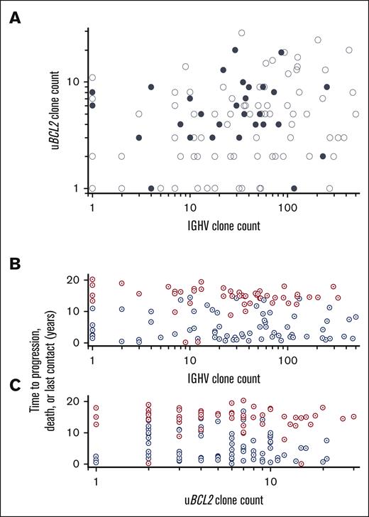 The extent of AICDA-mediated diversity as marked by uBCL2 and IGVH varies widely and is unrelated to the presence of a TP53 mutation. (A) The number of distinct sequences for uBCL2 is the maximum number seen for a single amplicon within that region (refer to Methods). The number of distinct IGVH sequences is the number of distinct variants detected in the clonal IGVH sequence (refer to Methods). Patients with no variants are scored as 1. No relationship is apparent among the number of distinct uBCL2 sequences, the number of distinct IGVH sequences, and the status of TP53 (filled denotes detectable pathogenic lesion; open denotes no detectable lesion). (B-C) No relationship is apparent between the number of variant uBCL2 or IGVH sequences and the time to progression or progression at any time. The number of variant IGVH and uBCL2 sequences was not different between the patients who showed disease progression (blue) or who did not show disease progression (red). Furthermore, there is no suggestion that the number of sequence variants detected differed between those who showed disease progression within 2 years and those who showed disease progression later.