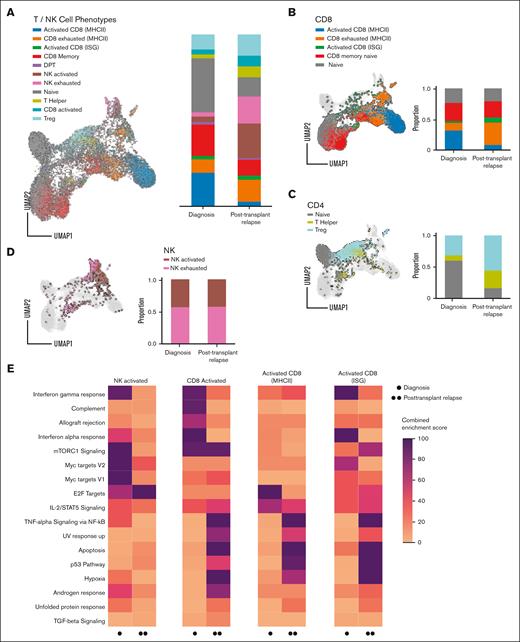 Bone marrow environment immune dysfunction at posttransplantation relapse in pediatric patients with AML. (A) Single-cell bone marrow immune microenvironment of (B) CD8+ T cells, (C) CD4+ T cells, and (D) NK cells for UPN1-4 at diagnosis and posttransplantation relapse. (E) Top differentially expressed Hallmark pathways between diagnosis and posttransplantation relapse in T and NK cells. Scale from 0 to 100 is a combined enrichment score c = log(p) × z, in which c is the combined score, p is the P value computed using the Fisher exact test, and z is the z-score computed by assessing the deviation from the expected rank. DPT, double positive T cell; TGF, transforming growth factor; TNF, tumor necrosis factor; Treg, regulatory T cell.