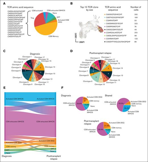 Evolution of TCR clonotypes at diagnosis and posttransplantation relapse in pediatric patients with AML. (A) Pie chart showing public TCR clonotypes found across >1 patient. (B) UMAP, TRB amino acid sequence, and cell counts for top 10 TCR clones based on size across all 4 patients. (C-D0 Pie charts showing number of each TCR clonotype identified at diagnosis (C) and at posttransplantation relapse (D) within a single patient, UPN4. (E) Alluvial description of T-cell phenotype probabilities within clonotypes from diagnosis to posttransplantation relapse for UPN4. (F) Phenotype of TCR clonotypes identified in diagnosis and/or posttransplantation relapse for UPN-4. ISG, IFN-stimulated gene.