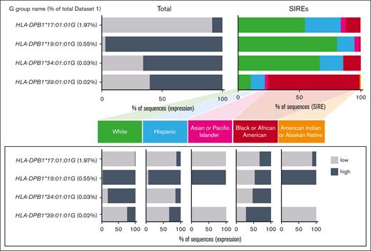 The 4 exon-2-grouped sequences (G groups) in data set 1 of 356 188 phased exon 2-exon 3 sequences with an admixture of exon 3–low/high-expression motifs that contain ≥5% minor expression allele frequency within any of the SIRE categories. The ≥5% minor expression allele frequency occurs when the less common expression motif composes 5% to 50%, and the more common motif composes 50% to 95% of the sequences. These G groups represent 2.57% of data set 1.
