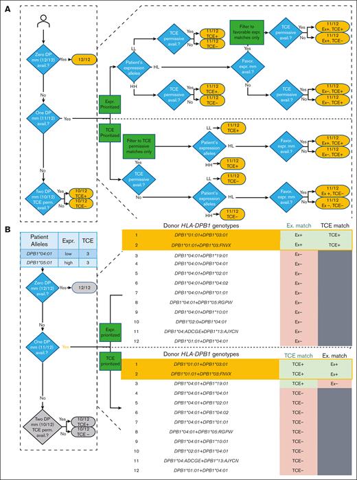 Flow diagram and example of how a combined TCE-expression algorithm can be used to identify an optimal HLA-11/12 donor (HLA-A, -B, -C, -DRB1, and -DQB1-matched 10/10 + HLA-DPB1 single mismatch) in data set 3. This data set involves 2545 HLA-11/12 expression-applicable patients who underwent transplantation filtered from 5032 HLA-10/10 (50.6%) patients who underwent transplantation. (A) Expression (Ex)-prioritized and TCE-prioritized routes for categorizing HLA-DPB1 match types between the recipient and donor. (B) An example search showing different final candidate HLA-11/12 search lists between expression-prioritized or TCE-prioritized applications. The example of search typing includes multiple allele codes that encode several possible alleles. Match category shorthand includes Ex– (expression-unfavorable), Ex+ (expression-favorable), TCE+ (TCE-permissive), and TCE– (TCE-nonpermissive). The golden boxes outline the final candidate donors after applying and filtering models. The grayed out boxes indicate that the donor did not pass the filtering step of the first model.