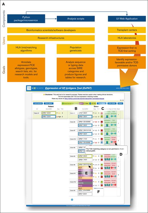 A diagram showing ExPAT’s utilities for several user types and a wide array of capabilities. (A) The UI (user interface) web application provides several functionalities via the immunogenic TCE model: (B) reversible expression and TCE donor sorting, (C) matching information (HapLogic grades and vector directionality), (D) allele expansion, (E) tooltips, (F) HLA typing autocompletion, and (G) real-time calculations.