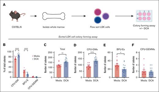 DCA treatment of bone marrow progenitor cells increased the generation of CFU-GMs in the absence of stromal cells. (A) LSK cells were FAC-sorted from C57BL/6 marrow and placed into colony-forming media in the presence or absence of DCA. Cultures on day 11 were assayed for the presence of CFU-GMs, BFU-Es, and CFU-GEMMs and analyzed as (B) the proportion of total colonies present, (C) the total number of colonies, as well as the total number of (D) CFU-GMs, (E) BFU-Es, and (F) CFU-GEMMs. All data are shown and represent 3 experimental replicates and were analyzed using two-way ANOVA with Šidák post hoc test or an unpaired Student t test. ∗P < .05; ∗∗P < .01; ∗∗∗P < .001; ∗∗∗∗P < .0001.