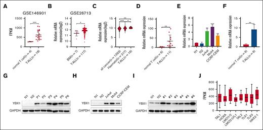 The expression of YBX1 is elevated in T-ALL. (A) The mRNA levels of YBX1 were analyzed in healthy T cells and primary T-ALL cells using microarray data set GSE146901. (B) YBX1 mRNA levels in healthy bone marrow (BM) and T-ALL BMs from microarray data set GSE26713 were analyzed. (C) mRNA expression analysis of YBX1 in T-ALL compared with all cancer types and other hematologic cancers in the Cancer Cell Line Encyclopedia (CCLE) database. (D) The mRNA expression of YBX1 in T cells from healthy donors and patients with T-ALL was determined via qRT-PCR. (E) Relative YBX1 mRNA levels in T cells derived from healthy donors, Jurkat, Molt4, and CCRF-CEM cells. (F) YBX1 mRNA expression was detected in healthy T cells from wild-type mice and leukemia cells from NOTCH1-driven T-ALL mice. (G-I) Western blot analysis of YBX1 expression in healthy T cells and leukemia cells from patients with T-ALL (G), various patient-derived leukemia cell lines (H), and NOTCH1-induced T-ALL mice (I). Glyceraldehyde-3-phosphate dehydrogenase was used as an internal control. (J) Analysis of YBX1 expression in 264 primary T-ALL samples classified into 8 subtypes. ∗P < .05; ∗∗P < .01; ∗∗∗P < .001. N, normal T cells.