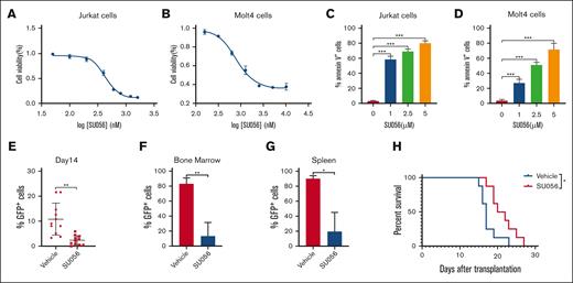 SU056 treatments demonstrate antileukemia efficacy both in vitro and in vivo. (A-B) Cell viability was determined using MTS assay in Jurkat (A) and Molt4 (B) cells treated with SU056 at various concentrations for 48 hours. (C-D) Quantification of cell apoptosis in Jurkat (C) and Molt4 (D) cells treated with SU056 for 48 hours. (E) Percentages of GFP+ leukemia cells in peripheral blood were measured via flow cytometry on day 14. (F-G) GFP+ leukemia cells in the BM (F) and spleen (G) were quantified via flow cytometry on day 16. (H) Survival curves were plotted using the Kaplan-Meier curves (n = 8; long-rank test). ∗P < .05; ∗∗P < .01; ∗∗∗P < .001.