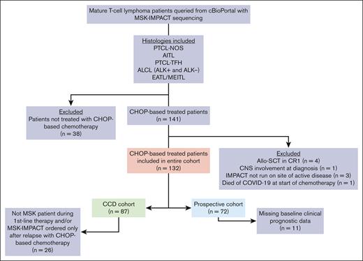 Flowchart of patient identification and distribution into respective cohorts. The entire cohort includes 132 patients with NGS of tumor samples. CCD was available for 87 patients, and 72 patients were managed by an MSK oncologist for their first-line treatment and had tumor NGS before or during CHOP-based treatment. CNS, central nervous system; CR1, first complete remission; EATL, enteropathy-associated T-cell lymphoma.