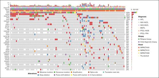 Oncoplot of the most frequent genetic aberrations in the entire cohort (N = 132). Each column represents a unique patient. The top row represents both the number and type of alterations detected in each biopsy. Each row represents the diagnosis, biopsy, sequencing panel, gene and type of mutation, and/or CNA. Gray tiles indicate wild type. Missing tiles represent a gene that is not included in that specific NGS panel. Percent frequencies in the far-right column represent both mutations and CNAs for that specific gene.