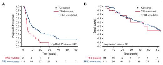 Kaplan-Meier survival curves for the entire cohort (N = 132) stratified based on the TP53 mutation status. (A) PFS and (B) OS of patients with (TP53-mutated; red) or without (TP53-unmutated; blue) PTCL. Data of living patients were censored at the time of last follow-up (filled circles). The number of patients at risk for each time point and cohort is shown.